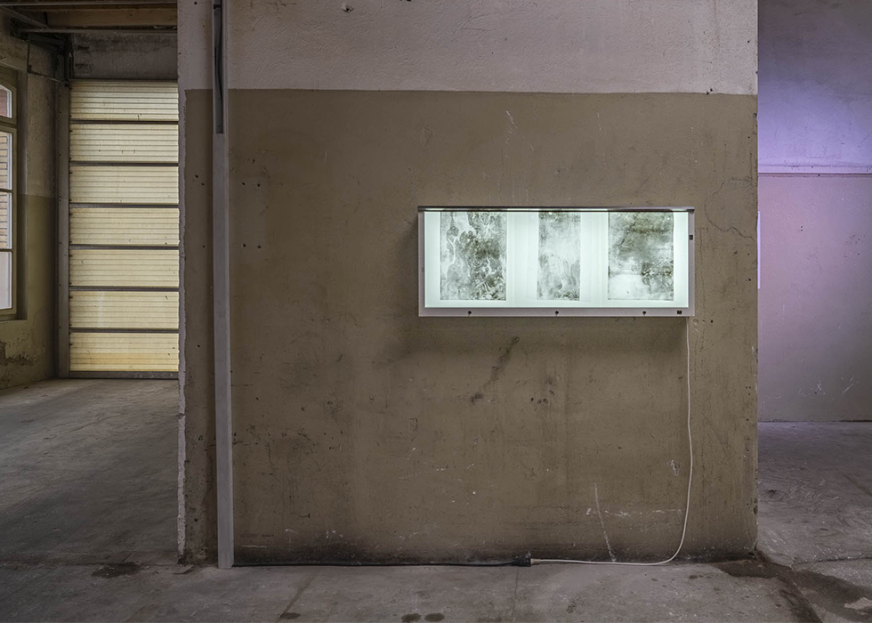 Sebastian Lendenmann “Indexfenster des Witterungs-Schatten“, 2022, Installationsansicht "FABRIK - Season 2. Spurensicherung", FABRIK, 2022